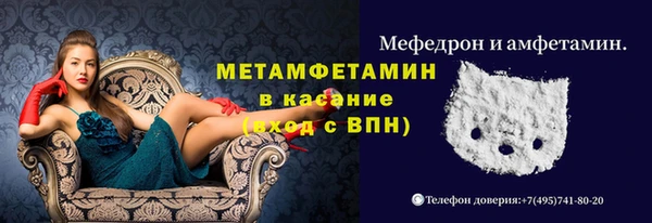 сатива Аркадак