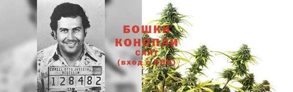 гидра Армянск