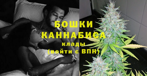 сатива Аркадак