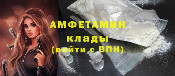 гидра Арсеньев