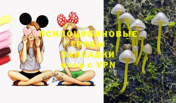 сатива Аркадак