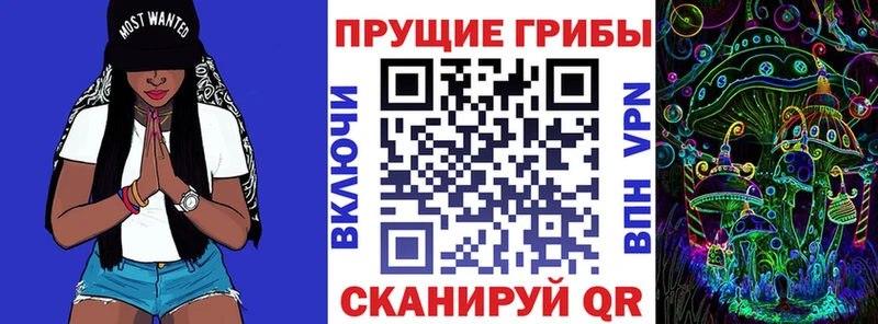 shop официальный сайт  Боровичи  Псилоцибиновые грибы Psilocybine cubensis 